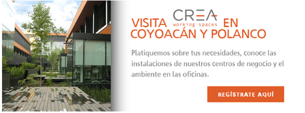 CTA CREA WS Visita Coyoacán y Polanco 