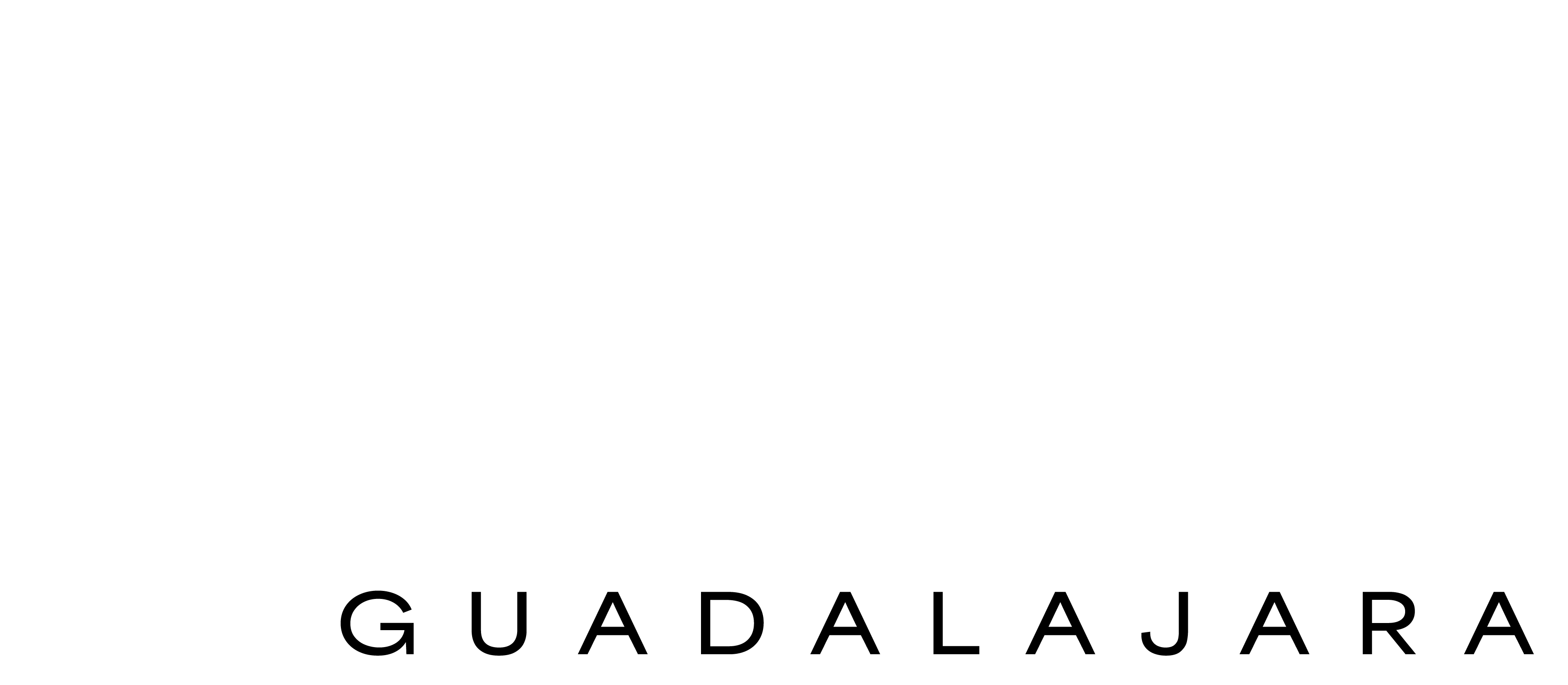 Growth Summit Guadalajara